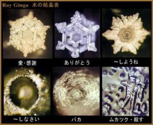 氷の結晶