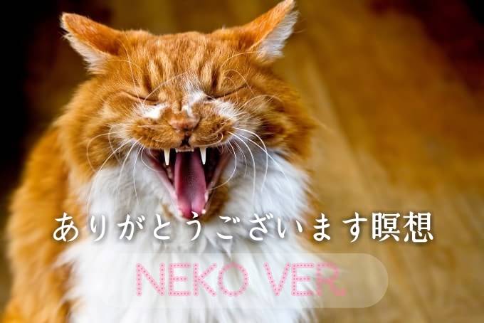 あくびの猫